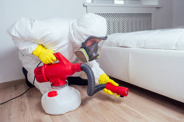 Best Fumigation Services  in Snyder, TX